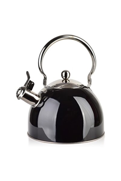 Allesken LIAM Kettle 2.5L, stainless steel, modern design, 19 cm diameter, 27 cm height