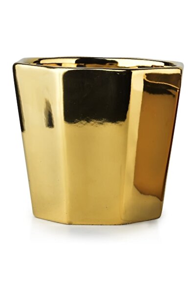 MONDEX Ghiveci Neva Gold, 14x16 cm, set