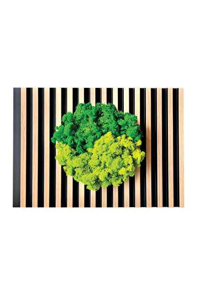 Studio Design Yin&Yang decoration with lichens