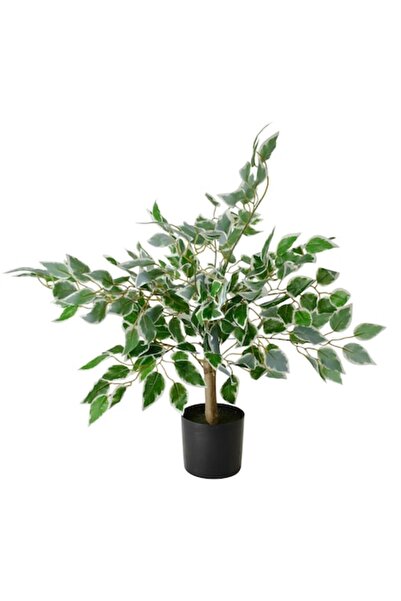 MONDEX Plantă artificială, Mondex, Ficus Benjamin, 13x12x65cm, verde, în ghiveci negru