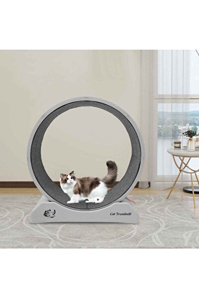 Trend Store Cat Exercise Wheel – Quiet Durable Treadmill, Cat Wheel and Small Dog Fitness Wheel