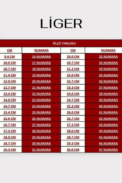 Liger Non-Slip Sole Zippered Boots Women's Boots Black - Black