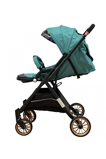 Krista T700 For Angel sports trolley, with reversible handle, foldable and trolley, Green