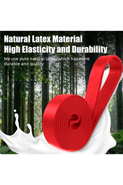 Al Rayyan Sports Omyoffice Resistance Band — Durable Elastic Pull-Up Exercise Band for Strength Training