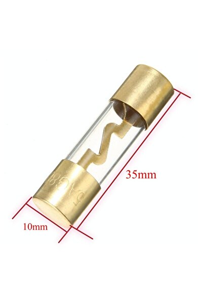 ElectroAZ Ασφάλεια ηχοσυστήματος αυτοκινήτου Χρυσή 40A