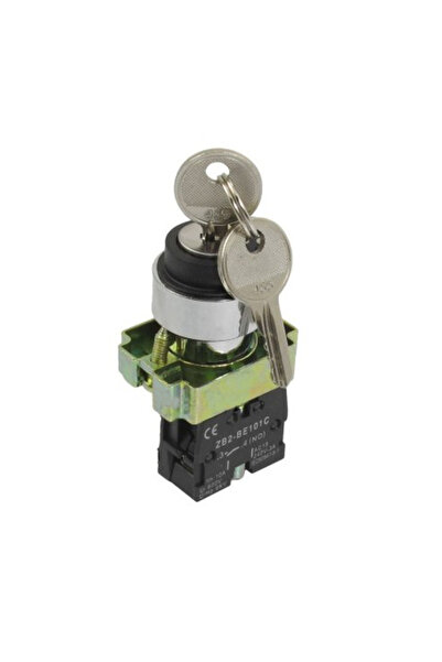 ElectroAZ Buton ON/OFF cu cheie BG25, 10A, Tensiune 240V AC