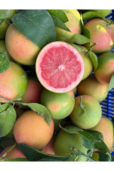 Granbusa Doğal İlaçsız Kızıl Greyfurt Detox 1kg