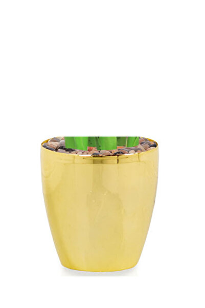 Generic Artificial banana tree (175 cm tall) in a plastic pot