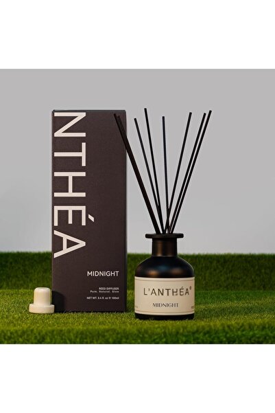 Home Dwell L'Anthea Midnight 100ml Reed Diffuser - Rich and Inviting Home Scent