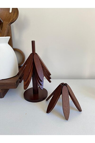 LEONEV Acacia Tree Weevil