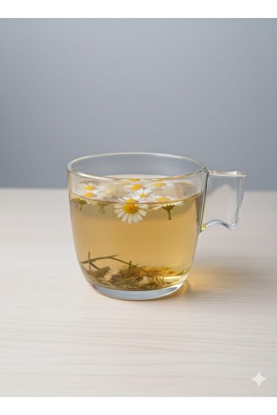 PİNK DREAM كوب زجاجي بتصميم عصري سعة 23 سنتيلتر