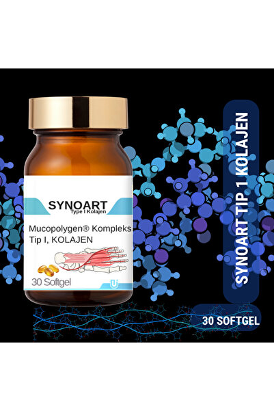 SYNOART Tip I Kolajen 30 Kapsül – Cilt, Kemik, Tendon & Bağ Doku Desteği