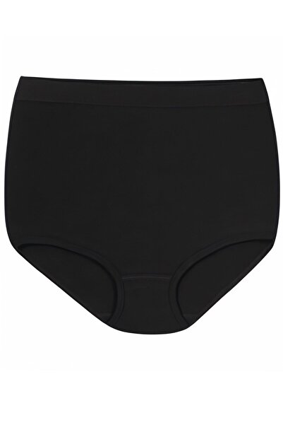 Özten 6-Pack High Silicone Waist Modal Stomach Shaping / Sculpting Women's Fit Bato Panties Ozt6117