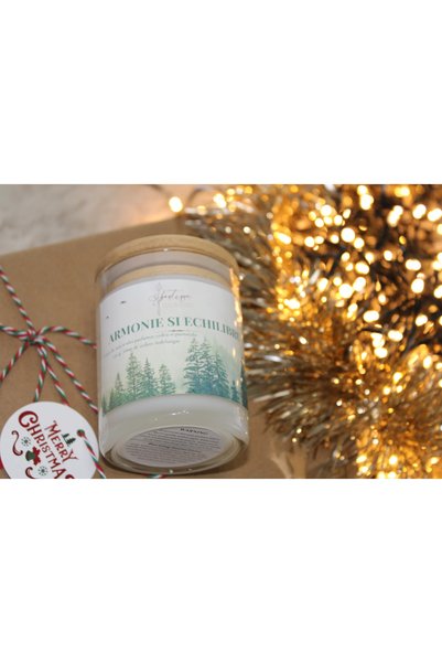Light and Delight Boutique Lumanare Balance-Winter Spirit