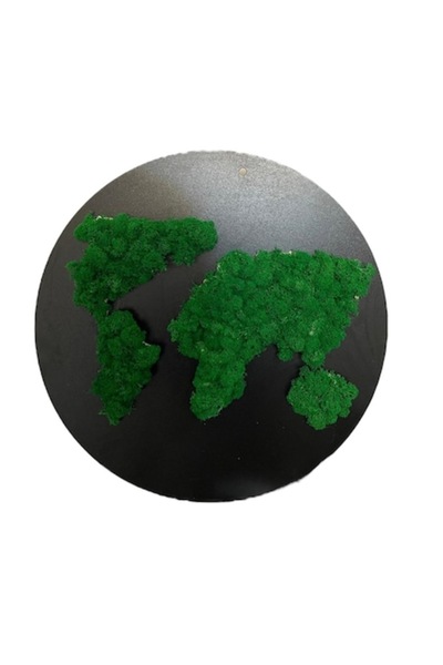 ALVAL Tablou decorativ cu licheni stabilizați - Hartă a lumii, verde, Ø 40 cm, ramă neagră