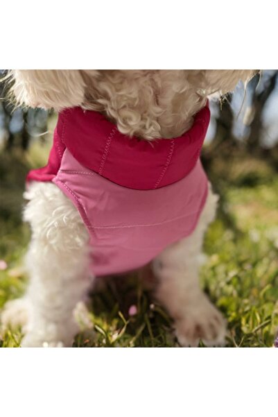 ZASEL LAND Köpek Şişme Yelek – Kışlık, Su Geçirmez, Tasma Halkalı