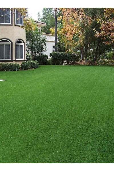 GRASS Artificial Natural Looking 30mm Thick 2 Meters x 4 Meters