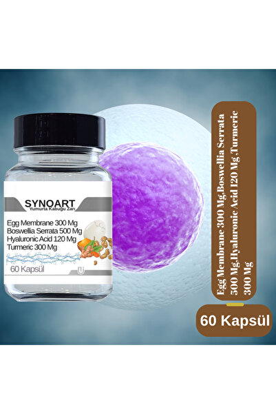 SYNOART 60 Kapsül – Egg Membrane + Boswellia + Hyaluronic Acid + Turmeric