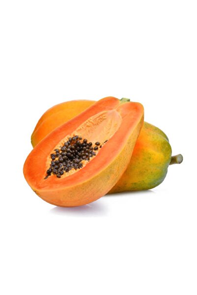 prestijiseed Eko Paket 10 Adet Tropikal Papaya Ağacı Tohumu Papaya Tohumu