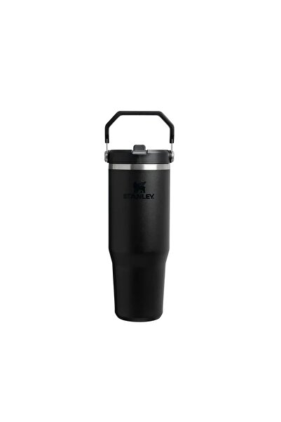 Stenley Stanley The Quencher H2.0 FlowState Tumbler 30oz (0.89L) – Durable Leakproof Outdoor Thermos