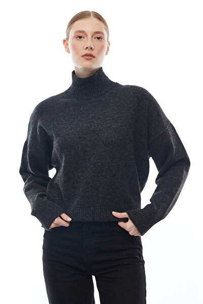 PAULMARK Women's Half Turtleneck Knitwear Sweater