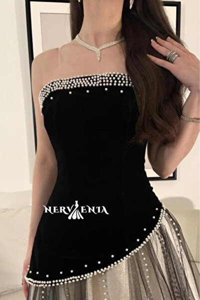 narvenia Serafina velvet wool dress with tulle