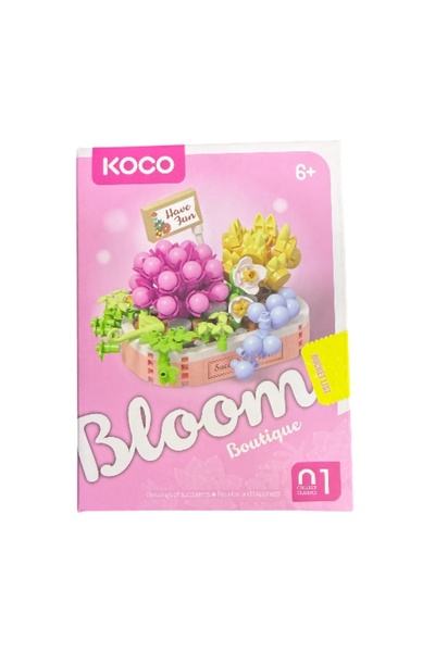 G-TUĞ OUTLET KOCO SUKULENTLERIN KUTSAMASI YENIDEN BIRLEŞME VE MUTLULUK BLOOMS...