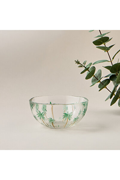 Lifestyle وعاء النخيل