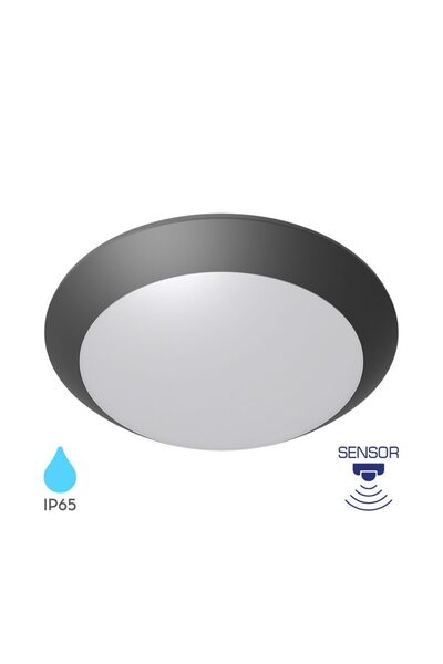 Braytron PLAFONIERA CU SENZOR 1xE27 NAPOLI-PC D:270mm IP65 GRI