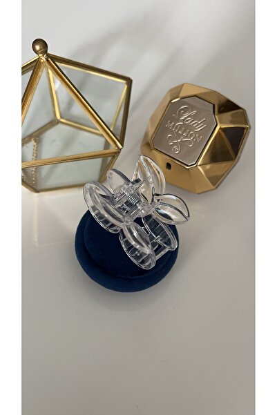 SU PERİSİ TAKI BİJUTERİ Transparent Cherry Clip Clasp