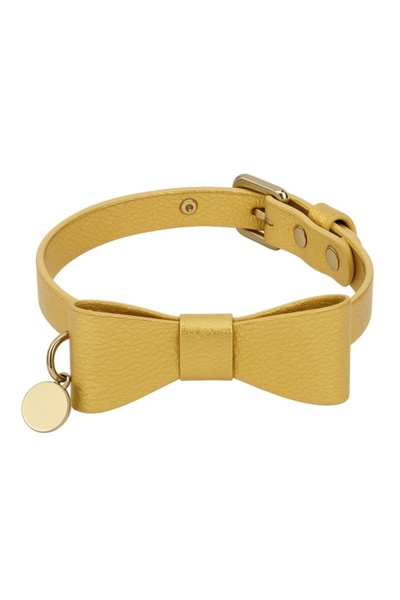 Charlotte's Dress Donald Dog Collar - 25 cm - Gold Lame