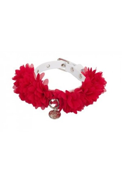 Charlotte's Dress Nina Dog Collar - 25 cm - Red