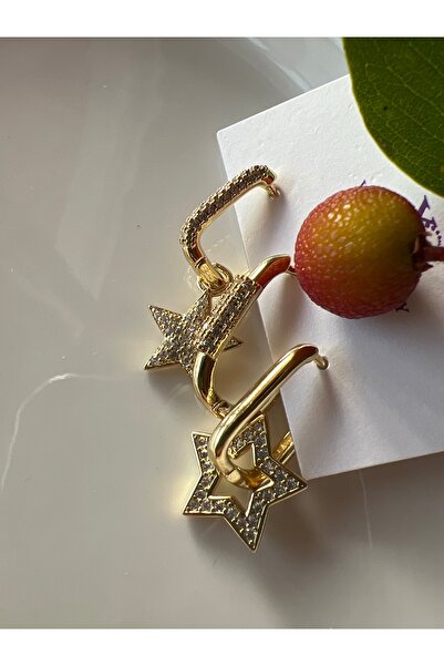 ELENOR Kadın Taşlı Yıldız Figür Detaylı Çelik Küpe
