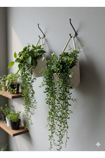 Home Dekoratif hasır sepet, saksı, 2li çiçeklik saksı, mini sepet10*12