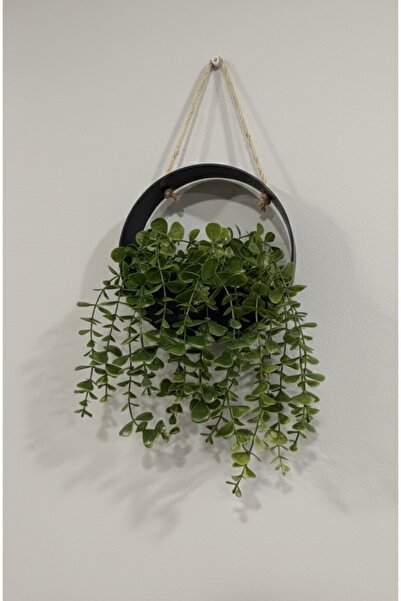 HomeBasics Yapay Çiçek Saksılı İp Askılı Sarmaşık Duvara Monte Şık Görünüm Siyah