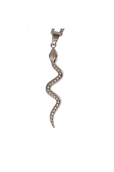 OEM Snake pendant necklace, unisex, 22 inch, silver-plated stainless steel