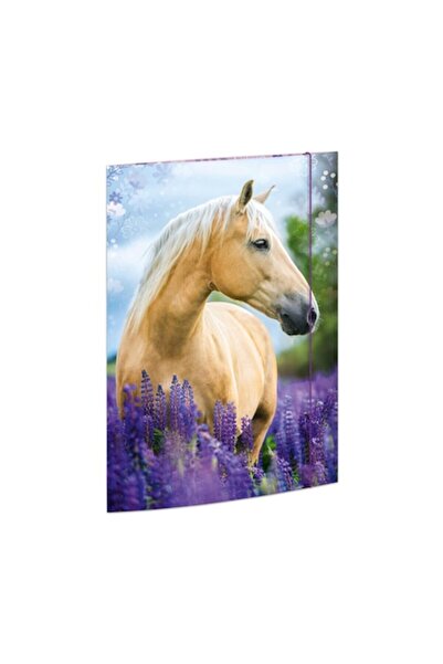OEM RNK Verlag Drawing Folder DIN A3 500 g/m² - Horse Dreams