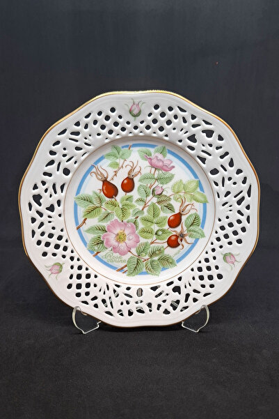 Bavaria Schumann Arzberg L. Helje Series 1881 Stamped Porcelain Wall Plate Rosehip 18.5 cm