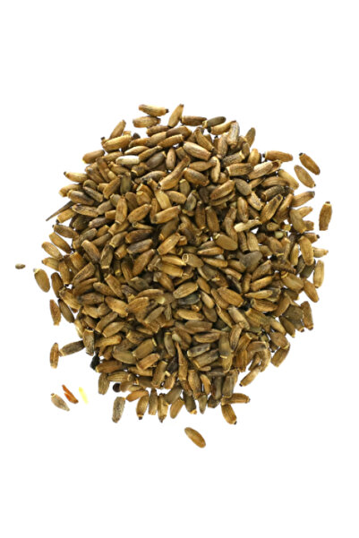 dukaanalattar الأصلية شوم الجبن /شوم الجمل - 1000 جرام