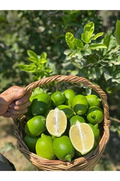 Granbusa İlaçsız Doğal Yeşil Limon 2kg