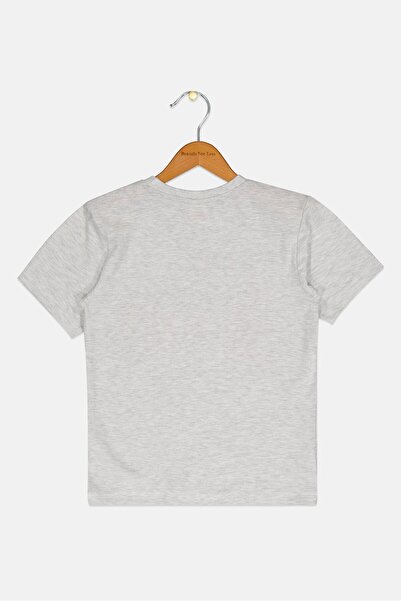 Marvel Kids Boy Crew Neck Short Sleeve Graphic Print T-Shirt, Grey