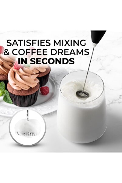 TEGRILO Portable Battery Electric Milk Frother with Stainless Steel Whisk and Stand