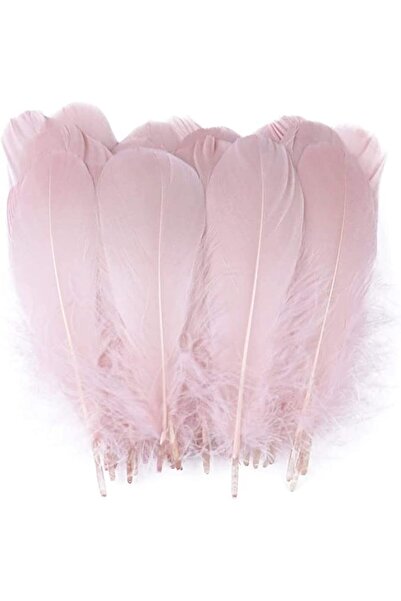 Arabest Natural Goose Feathers Decoration - Assorted Colorful 4-7 inch Feather for DIY Crafts