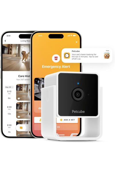 Petcube كاميرا مراقبة الحيوانات الأليفة مع فيديو عالي الدقة 1080 بكسل، رؤية ل...