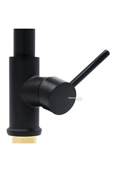 Alessandro DESIGN Kitchen Faucet, Stainless Steel and Black Brass
