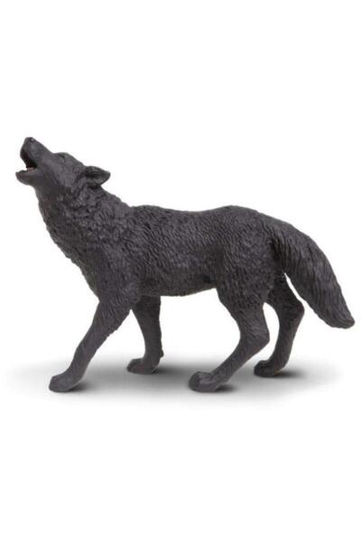 Safari Black Wolf