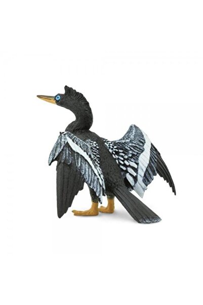 Safari Anhinga (Snake-necked Bird)
