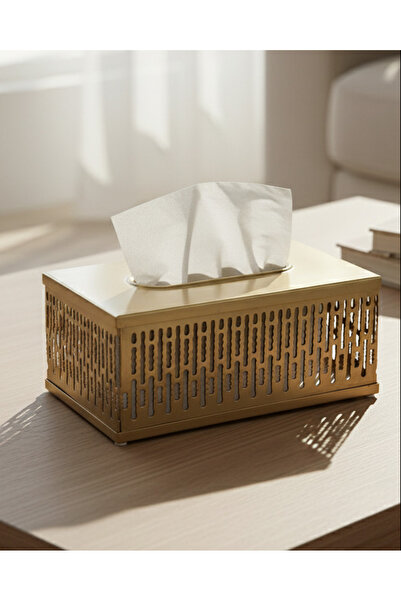 REDTAG Gold Dual Tone Metal Rectangle Tissue Box