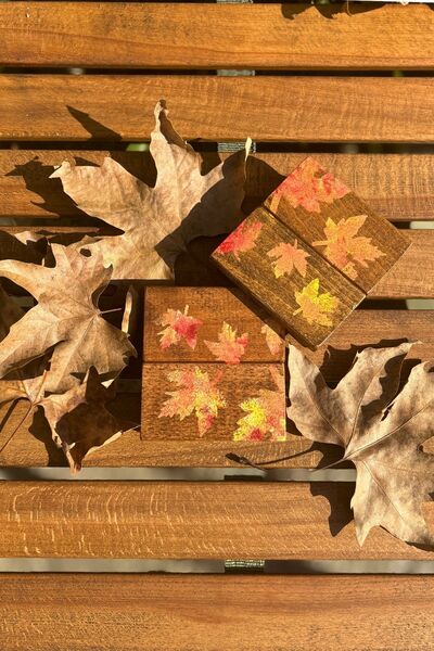 Bag The Joy Leftover - Autumn Themed - Set of 2 Coasters