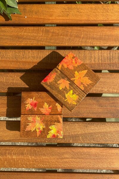 Bag The Joy Leftover - Autumn Themed - Set of 2 Coasters